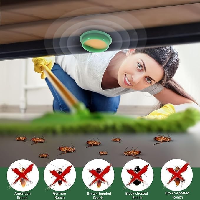 New Cockroach Killer Bait for Home Strong