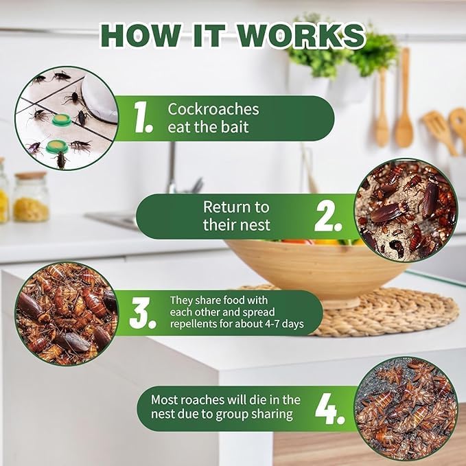 New Cockroach Killer Bait for Home Strong