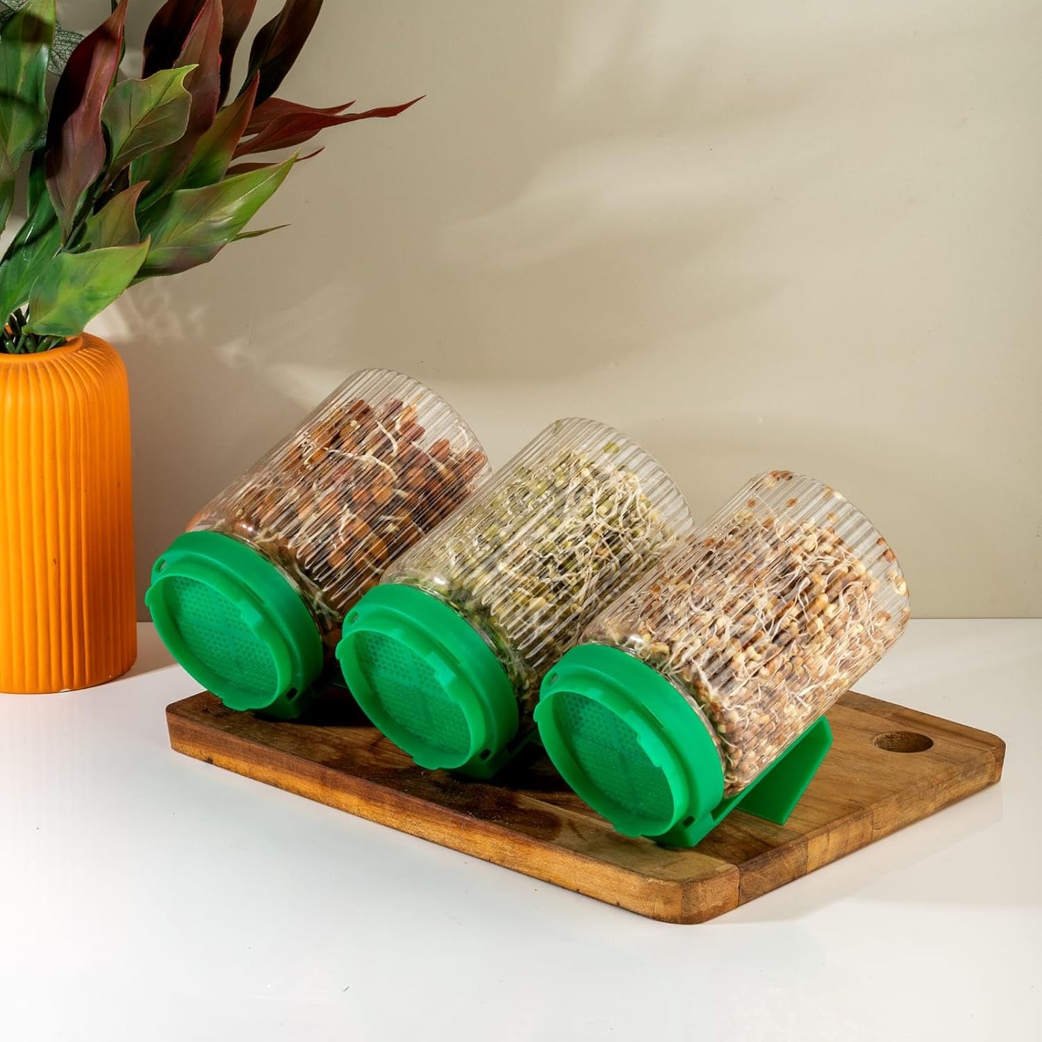 Sprouts Maker Jar – Durable & Reusable Sprouter