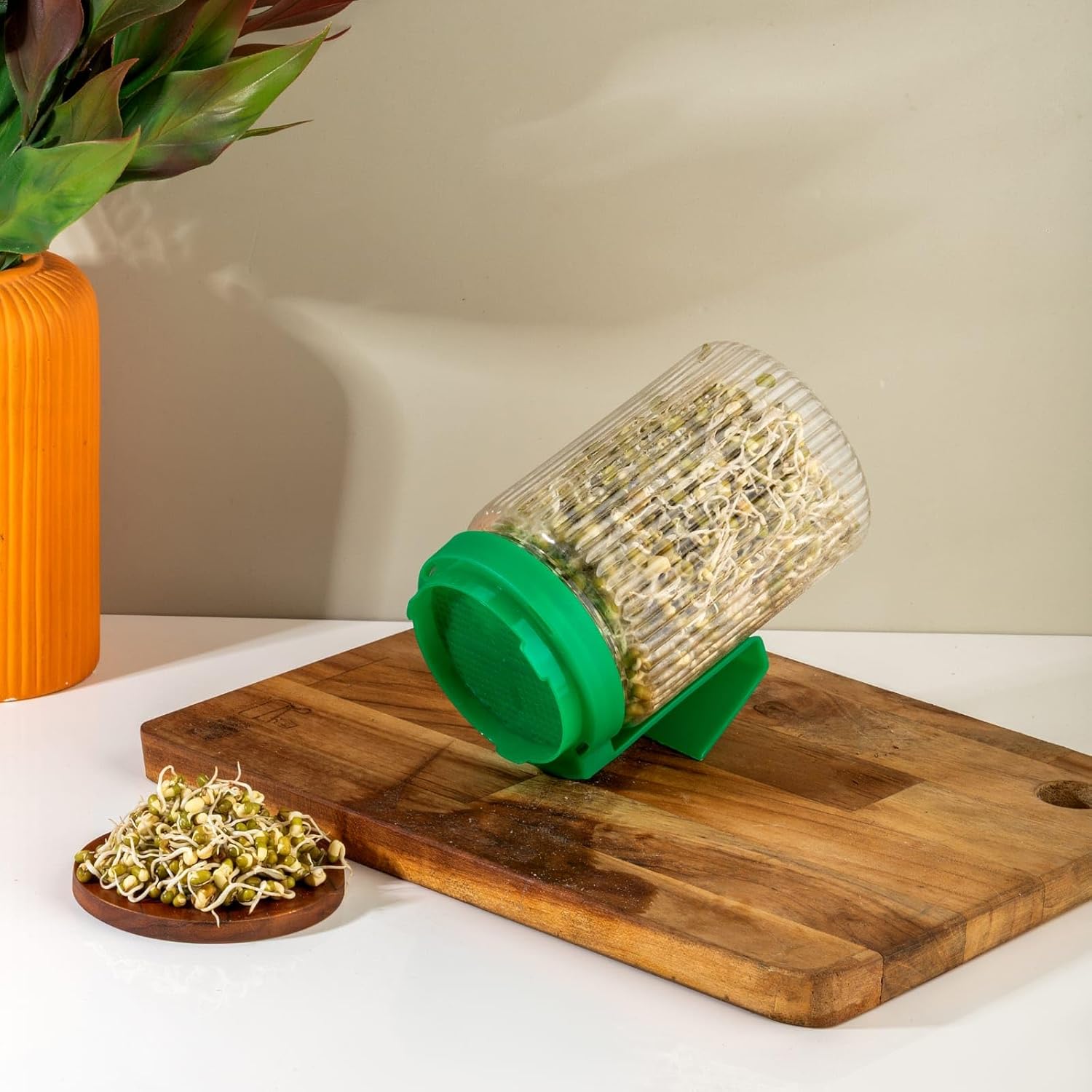 Sprouts Maker Jar – Durable & Reusable Sprouter